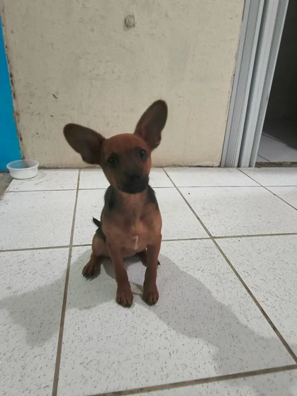 Doação - Foto 2