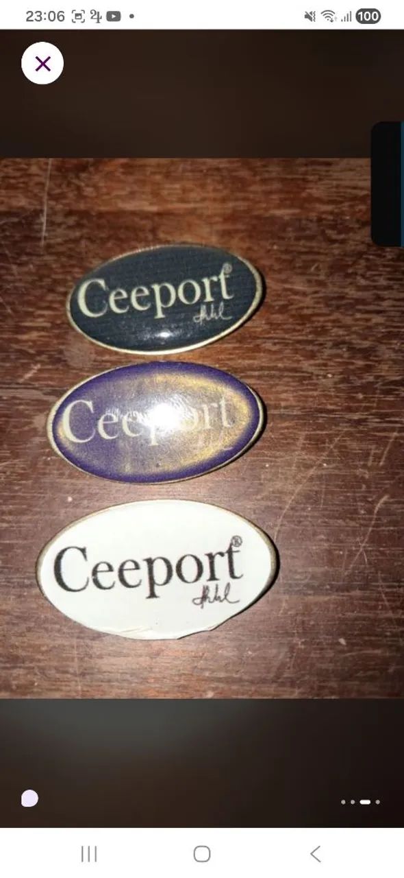 Pin Ceeport novo - Foto 2