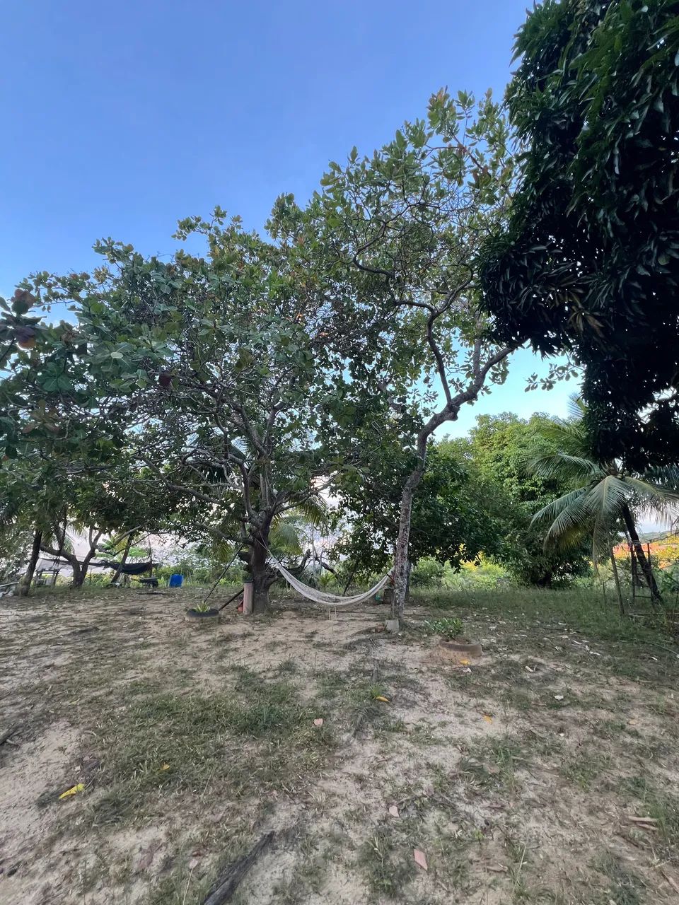 Aluga-se sítio em Vera Cruz - Ilha de Itaparica (BA) - Foto 13