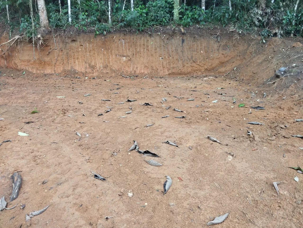 Terreno vargem alta  - Foto 2