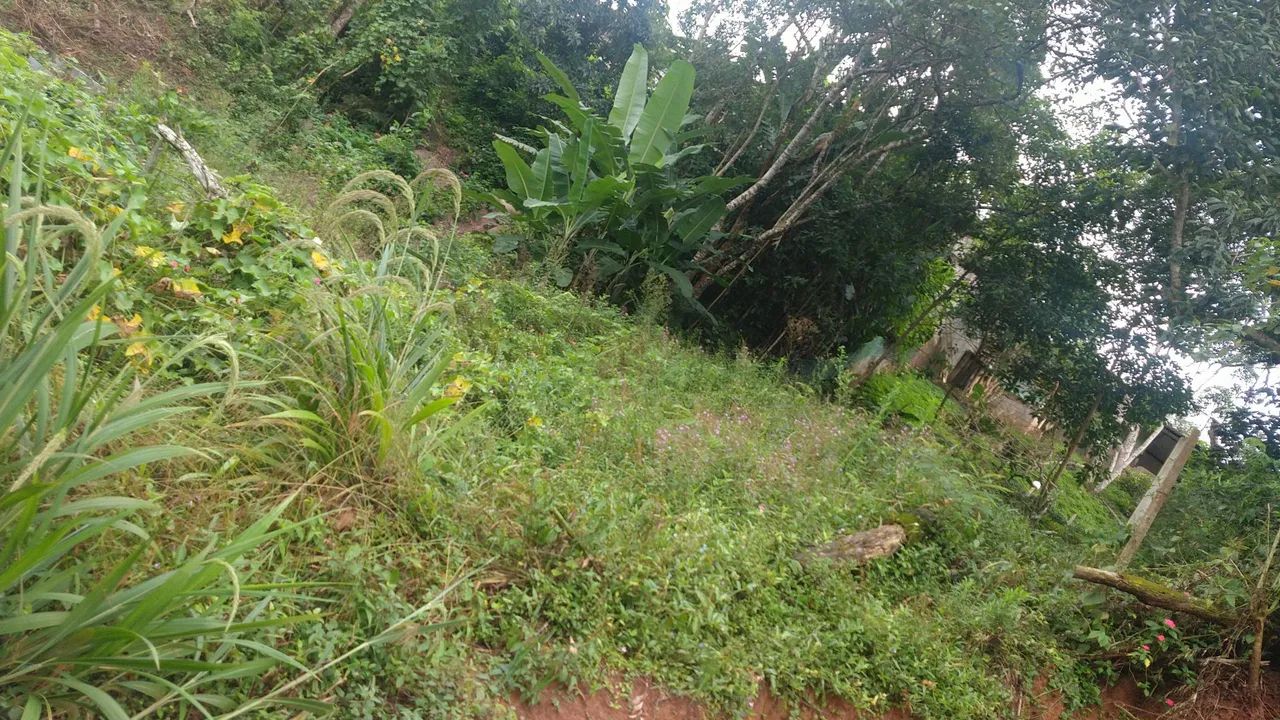 Terreno  - Foto 2