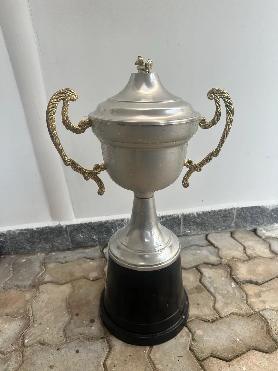 Troféu tipo Taça Antigo 