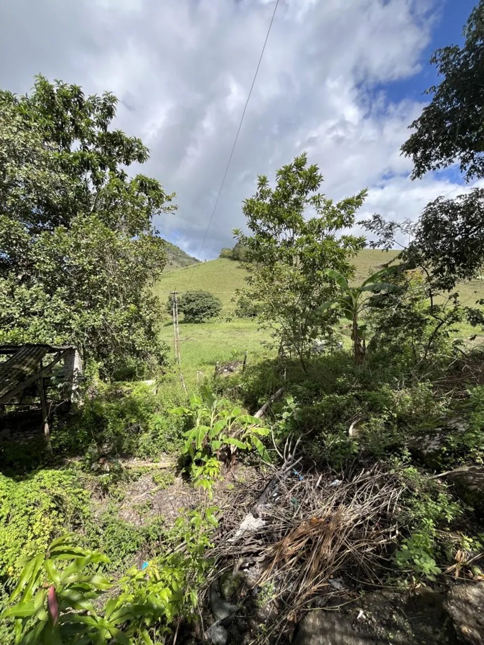 Fazenda para Venda em Joaquim Gomes, Centro - Foto 4