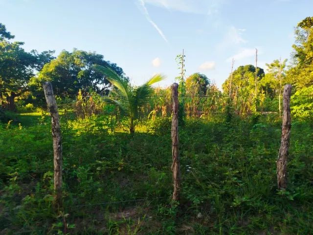 Sitio em sao cristovão povoado casulo - Foto 4