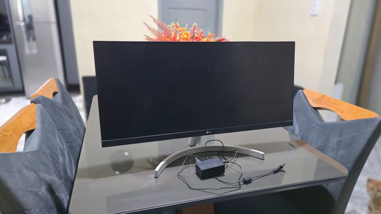 MONITOR LG LED 29" ULTRAWIDE FULL HD - Foto 2