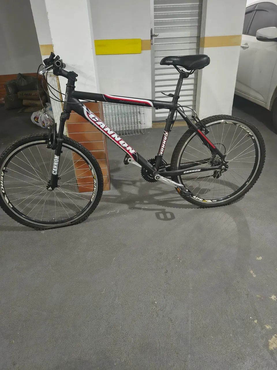 Bicicleta 