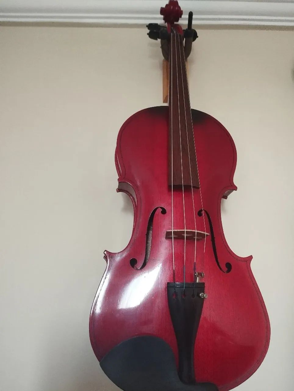 Viola Roma 41  - Foto 5