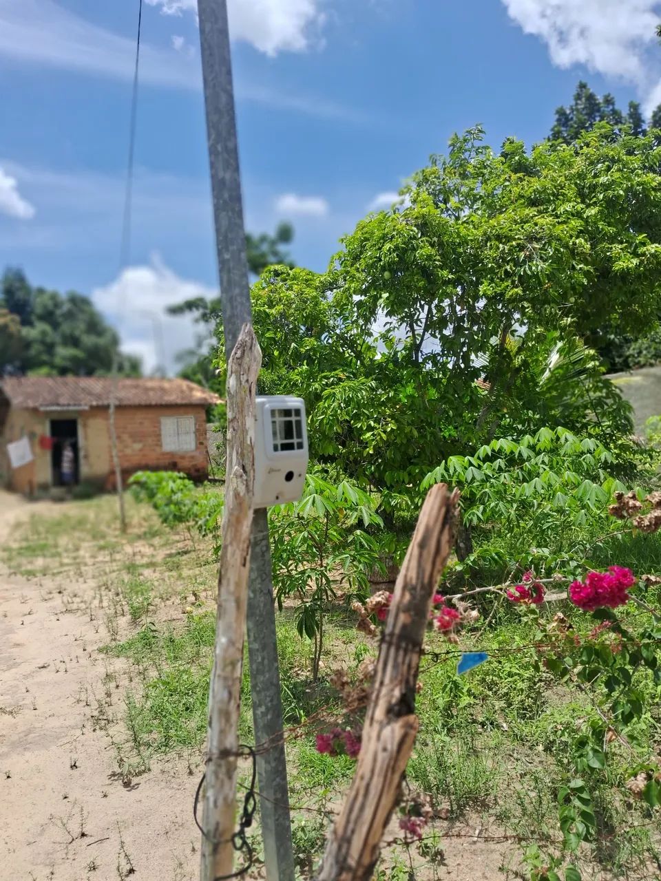 Terreno no povoado sapé  - Foto 3
