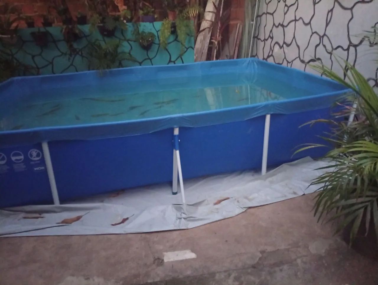 Piscina - Foto 2
