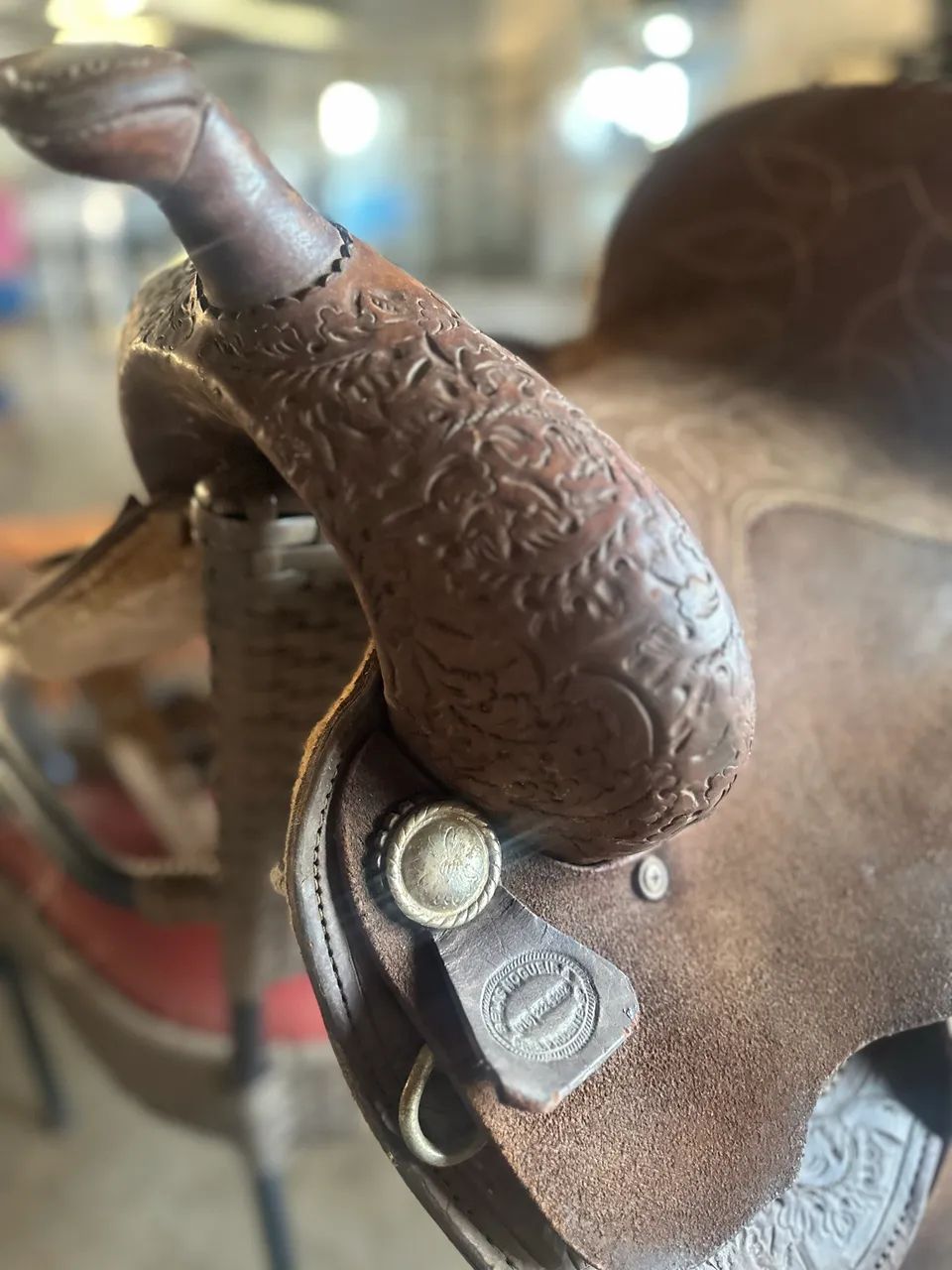 Sela americana  - Foto 3