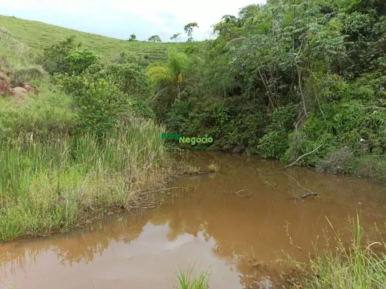 Sítio com pasto formado e sem benfeitorias em Lorena-SP