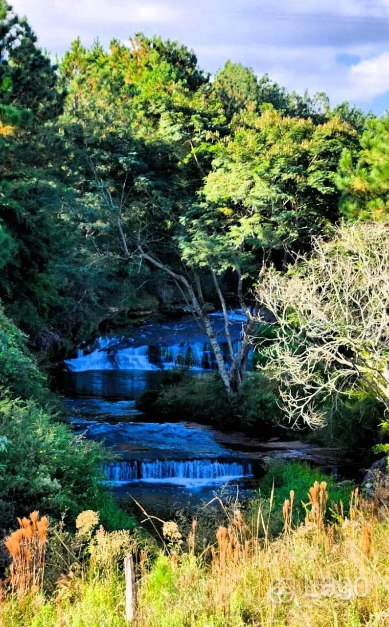 Área Carambeí - Foto 3