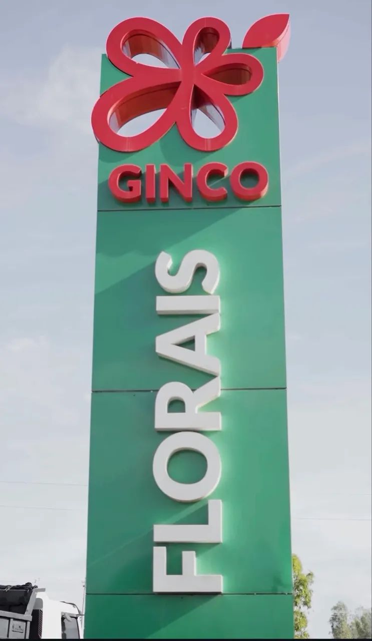 Terreno ginco florais Esmeralda 