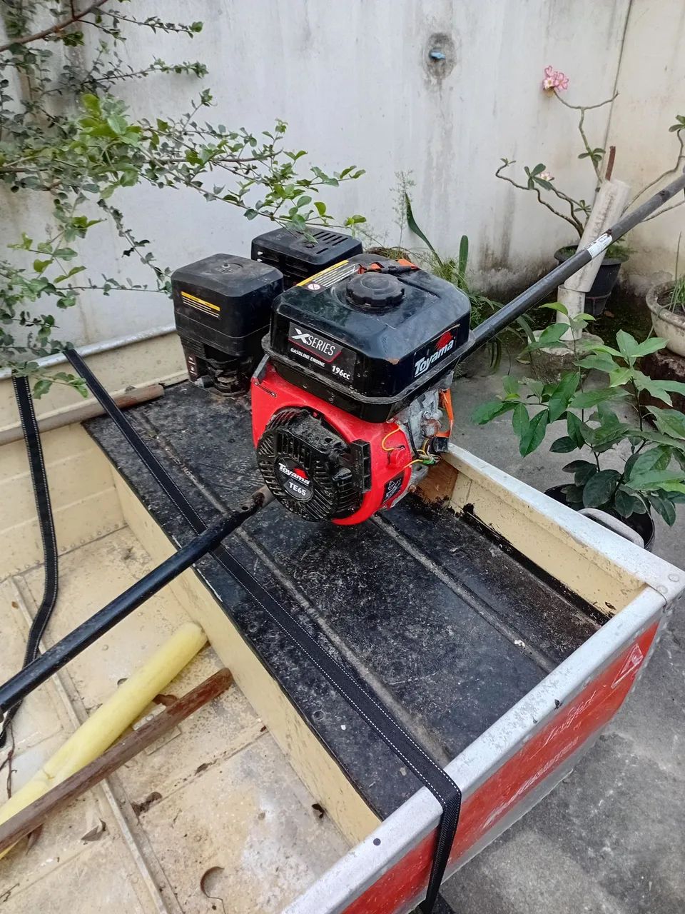 Barco com motor 