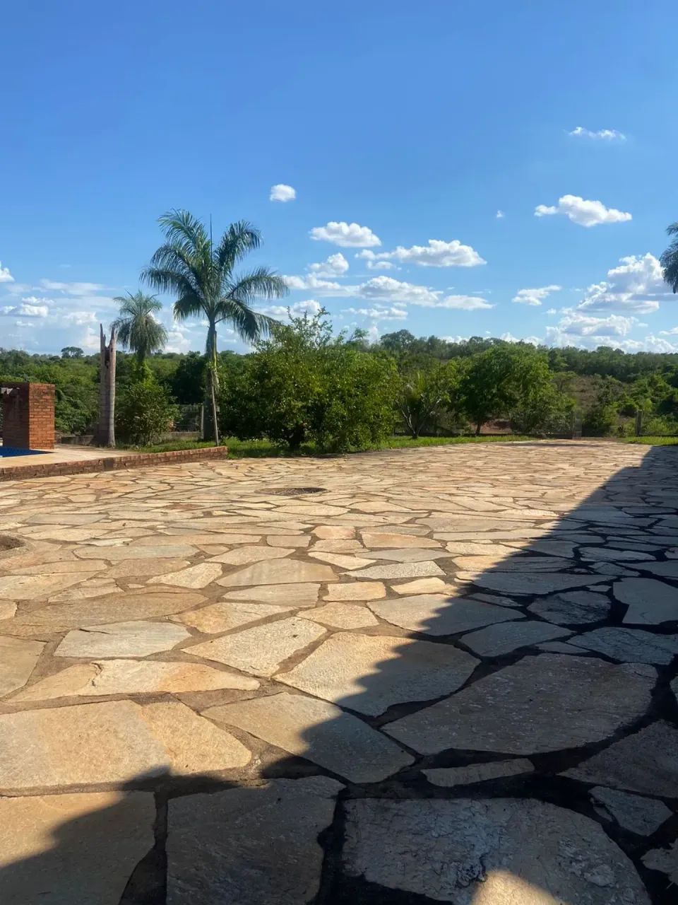 Fazenda com 82 alqueires _ Mun. Uirapuru - Foto 5