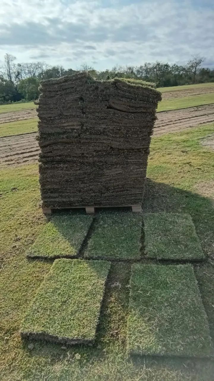 4,60 GRAMA ESMERALDA PRA RETIRAR 