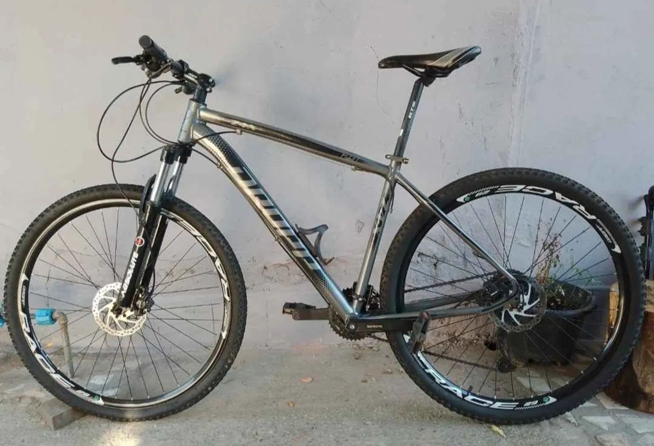 Bicicleta 