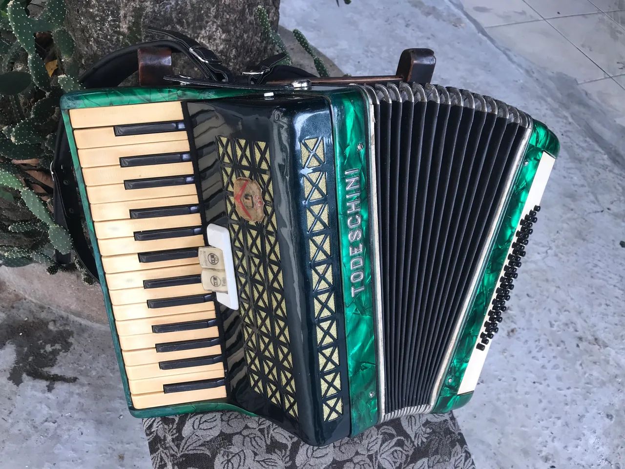Acordeon Todeschini 48 baixos raridade