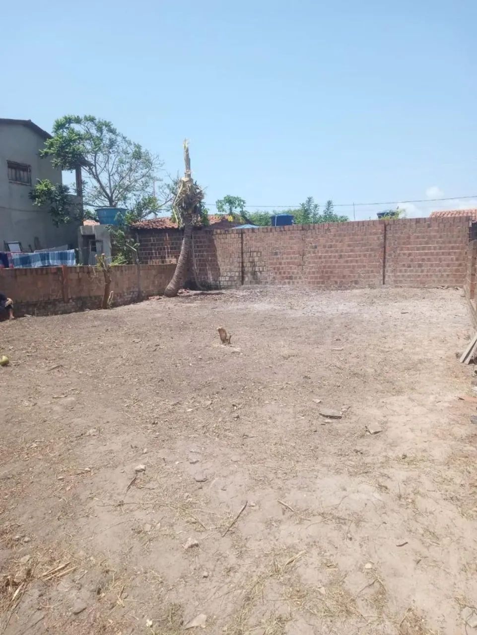 Terreno Barra de Mamanguape - Foto 3