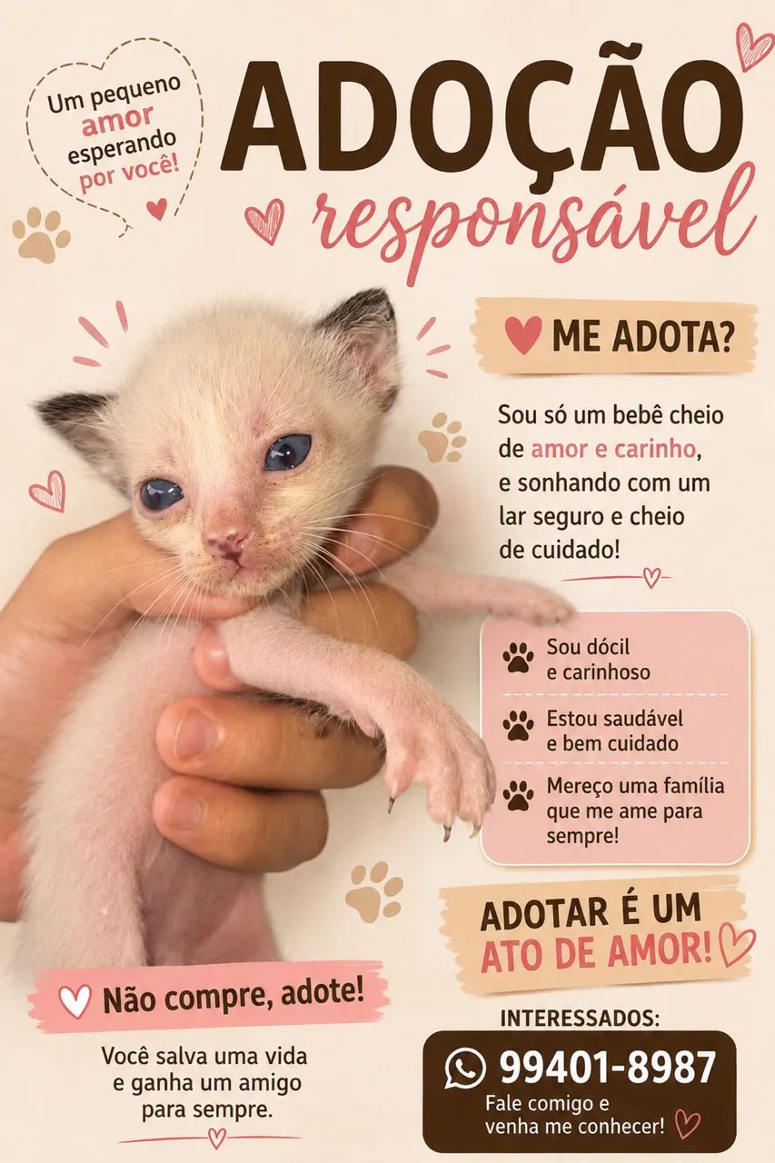 Adoção  - Foto 4