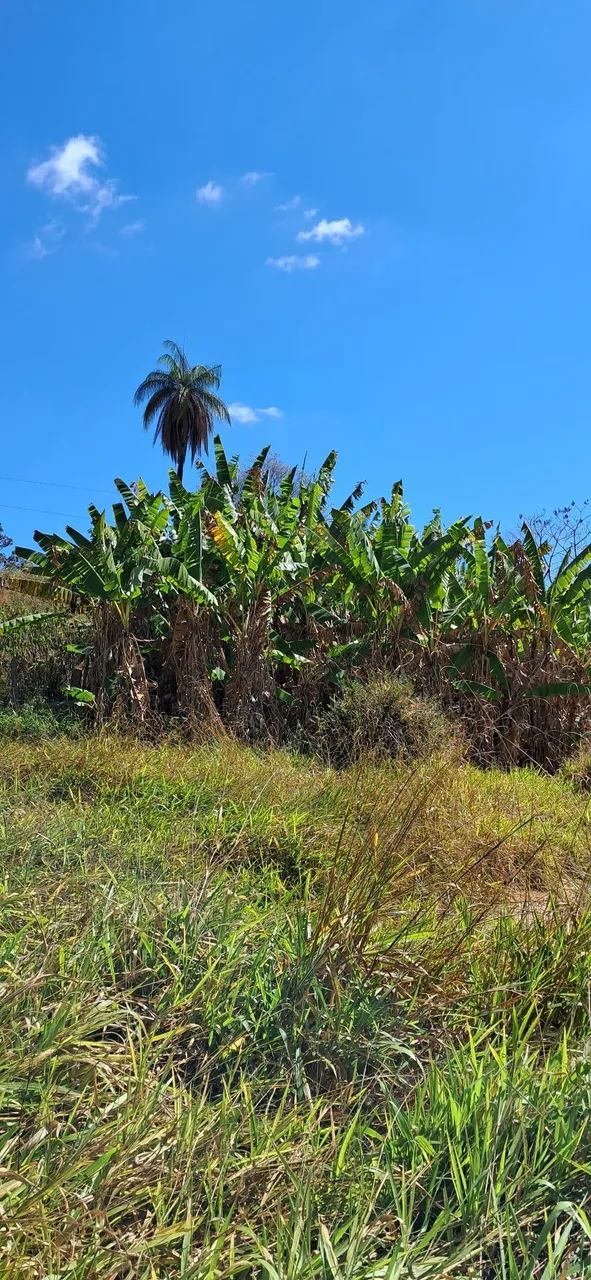 Linda chácara a 2 km da BR 381 - Foto 5
