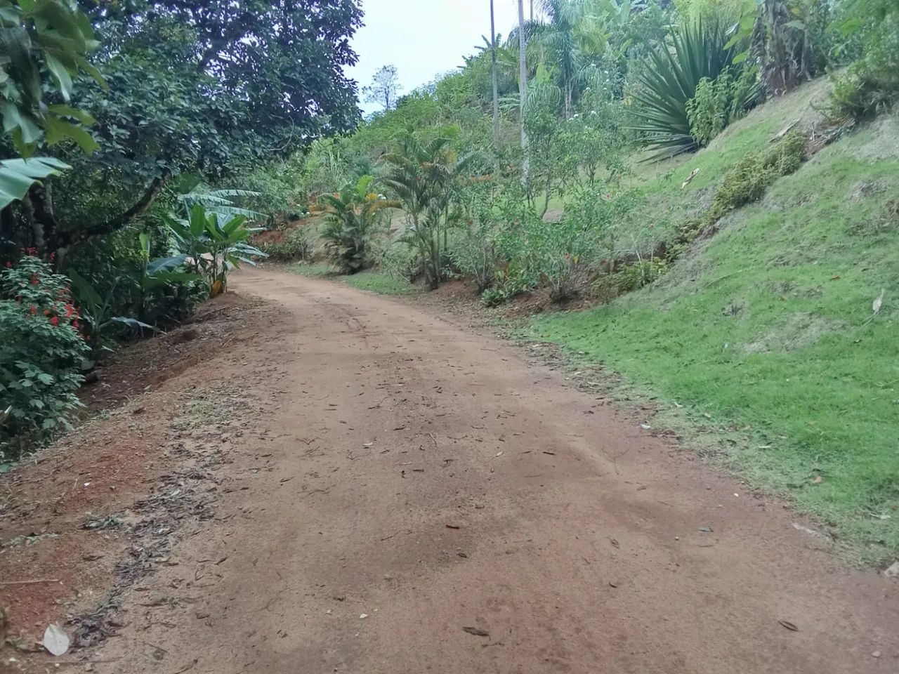 CHÁCARA STA LEOPOLDINA  - Foto 12