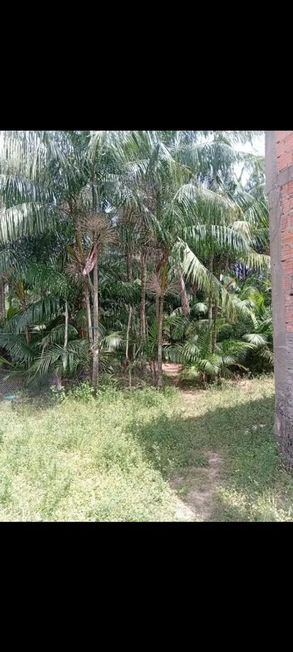 Vende-se uma casa  - Foto 4