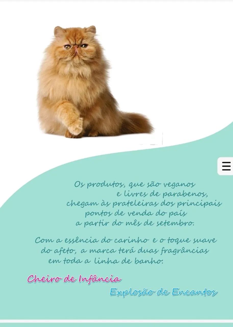 Perfumes, shampoo, condicionadores, leave-in máscaras, espuma bocal cães e gatos - Foto 6