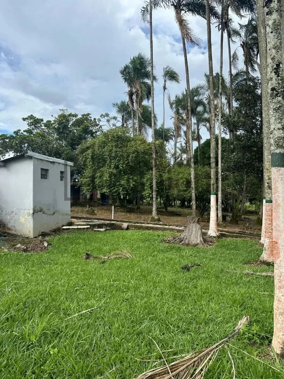 Chácara - Rural - Abadiânia - Foto 5