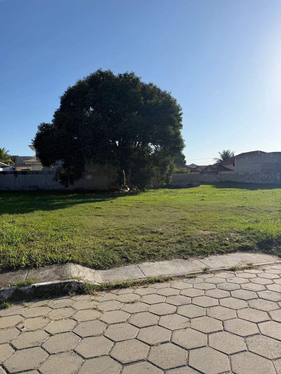 Terreno No sonho de vida  - Foto 2