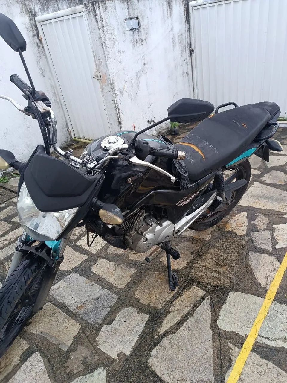 Fan 2015