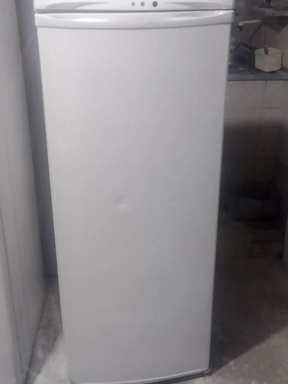 Vendo geladeira Eletrolux funcionando normal  - Foto 2
