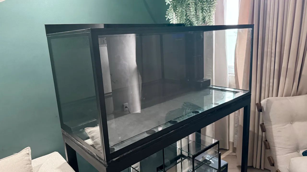 Aquario 