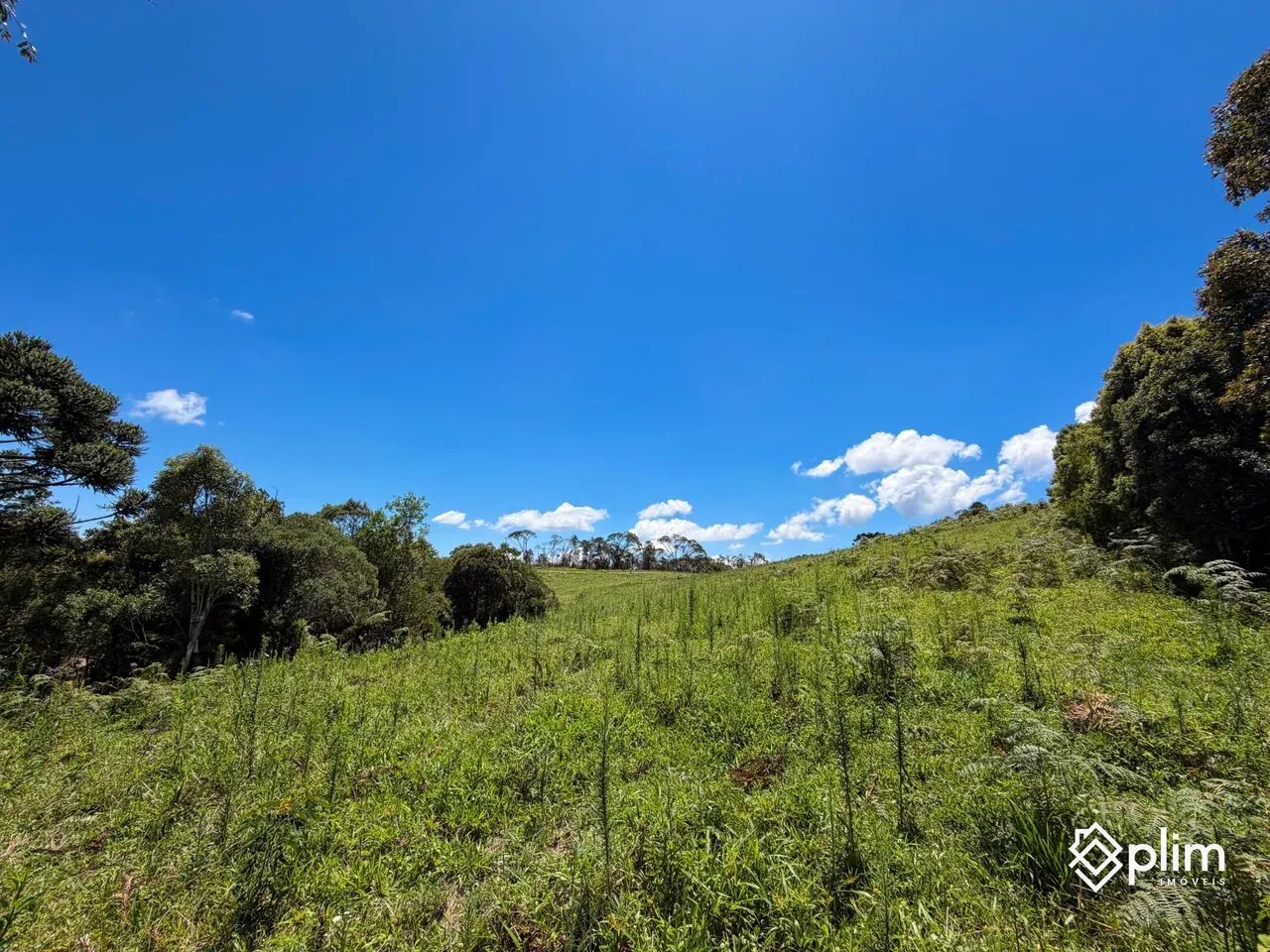 Terreno à venda só 2km do centro de Bom Retiro Serra Catarinense - Foto 4