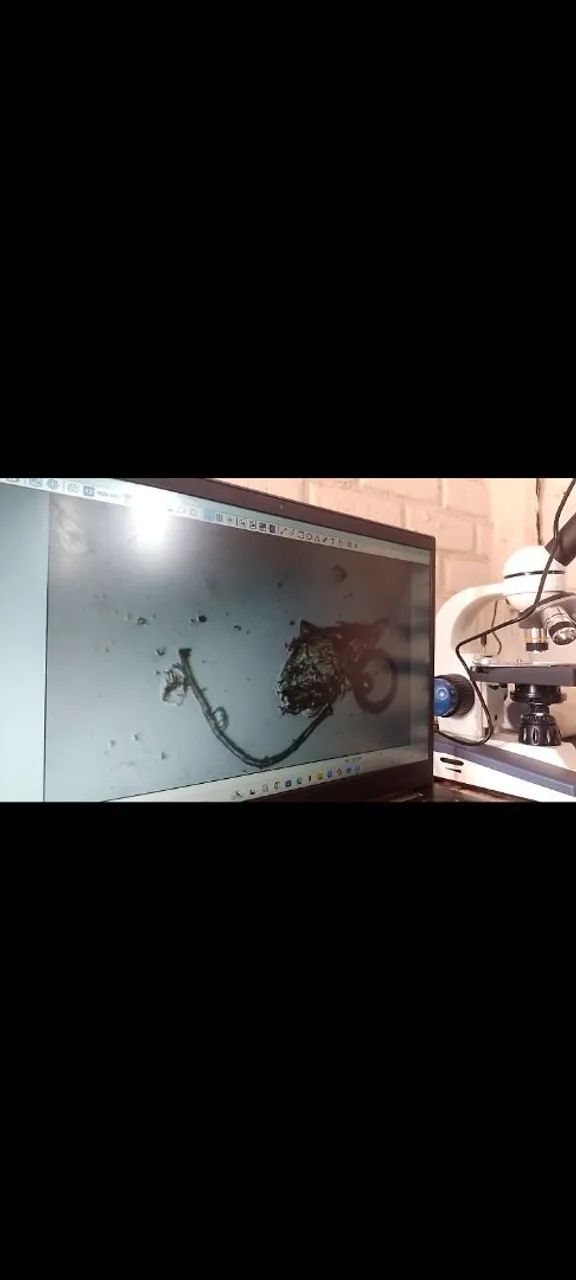 Microscópio monocular+ câmera para microscópio digital 