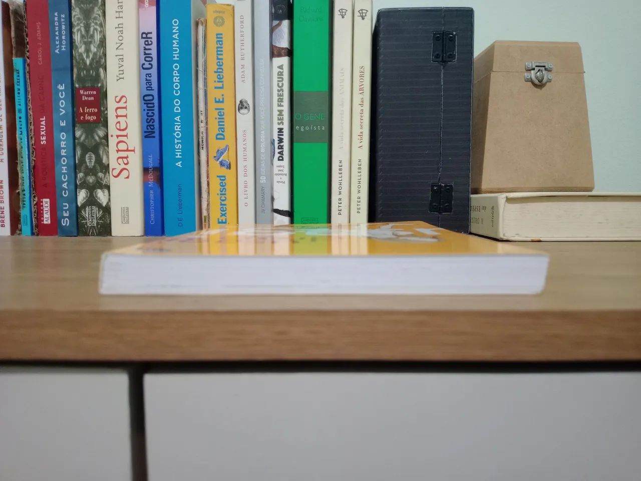 Usagi Drop - Volume 3 - Foto 3