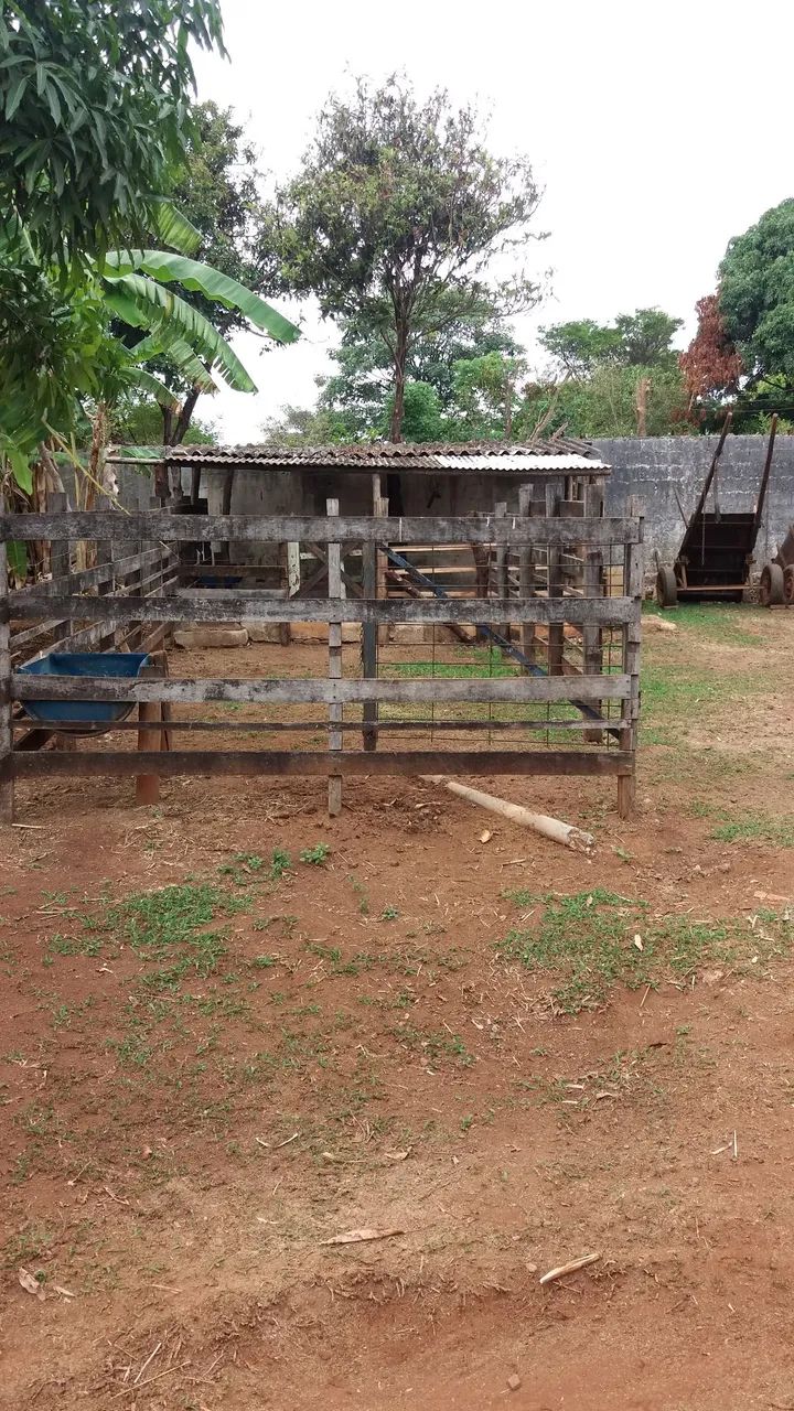 Caseiro - Foto 2