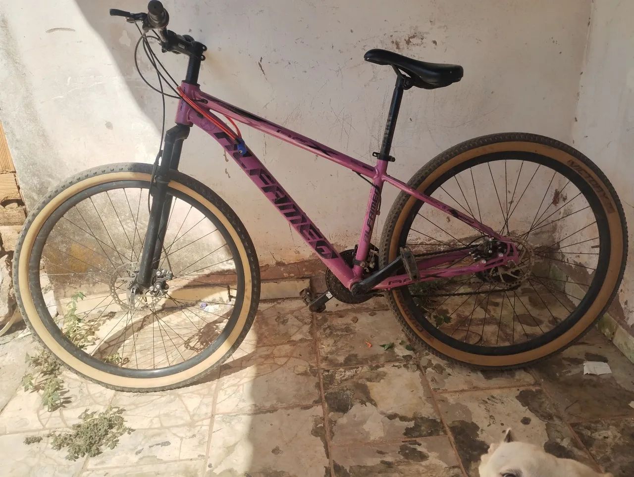 Bike aro 29