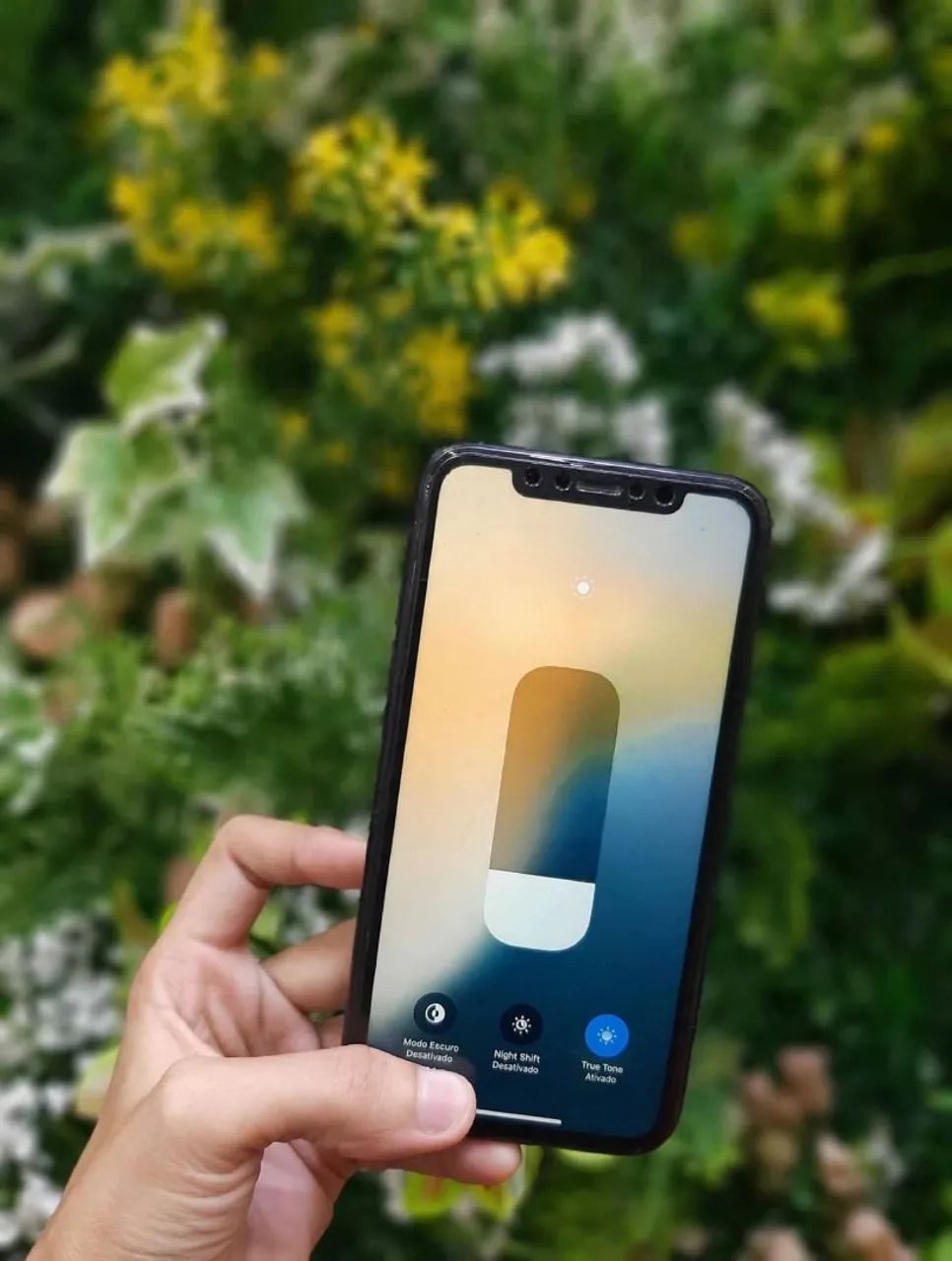 XR novo  - Foto 3