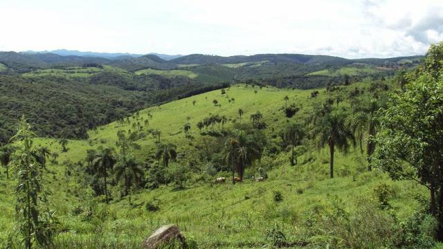 Excelente fazenda com 126 alqueires em Campo Largo - Foto 2