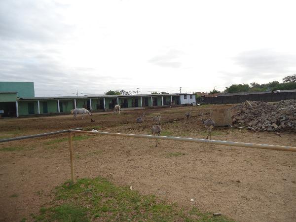 Terreno à venda em Aberta dos morros, Porto alegre cod:MI17355 - Foto 14