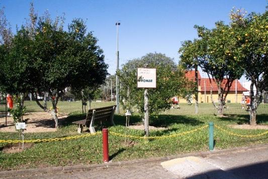 Terreno à venda em Aberta dos morros, Porto alegre cod:MI17172 - Foto 15