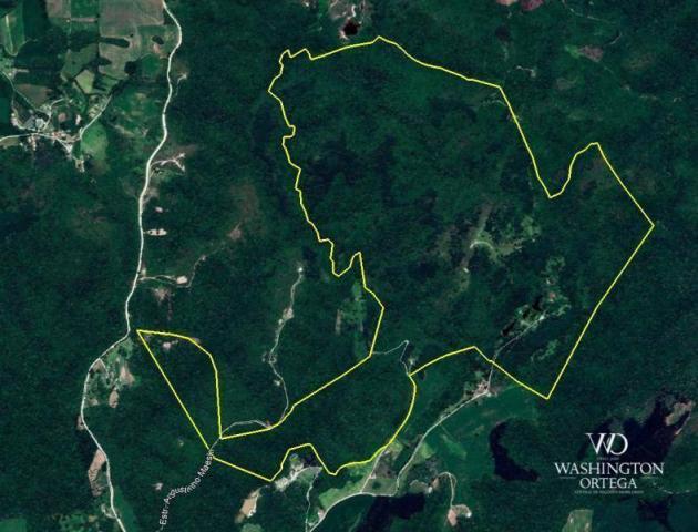 Chácara à venda, 2275517 m² por r$ 10.000.000,00 - centro - campo magro/pr - Foto 14