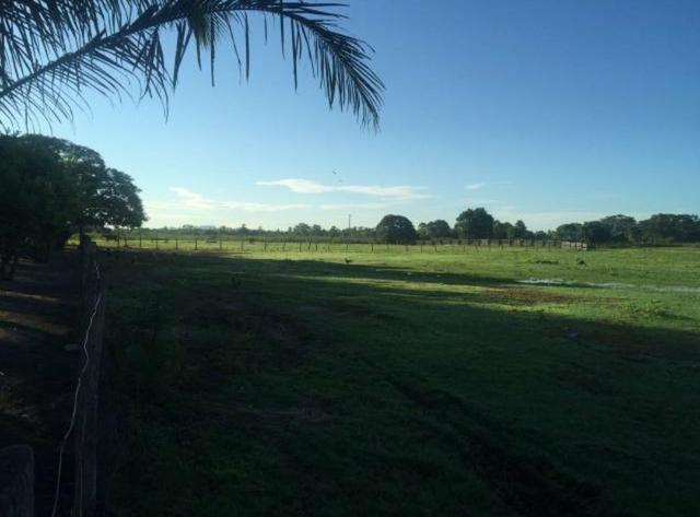 Vendo fazenda BARBADA - Foto 2