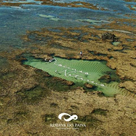 Acqua marine um empreendimento único definitivo 4 suítes pé na areia reserva do paiva-E - Foto 18