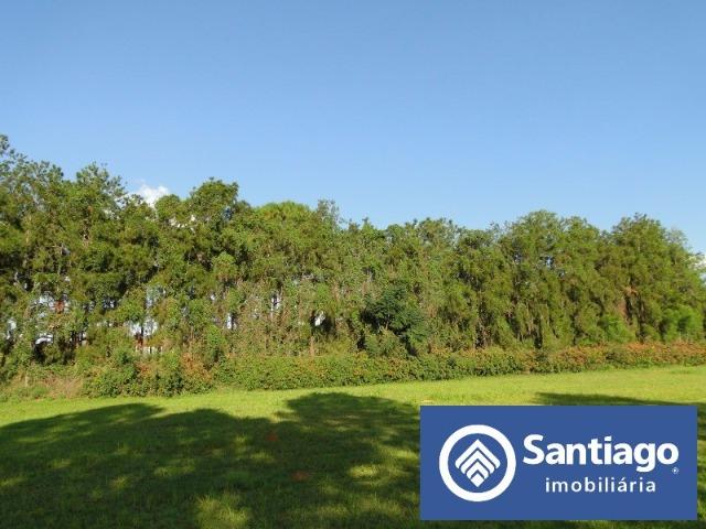 Park Way Quadra 23 Lote inteiro com 20.000m² Terreno - Foto 7