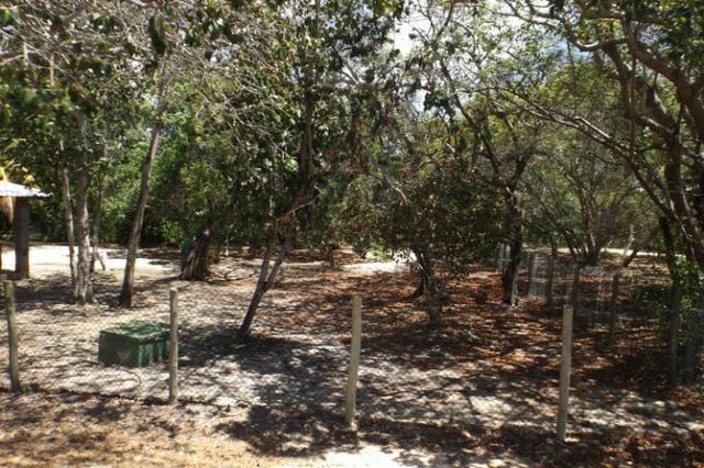 Terreno a venda no Cond. Quintas das Lagoas em Itacimirim - Foto 19