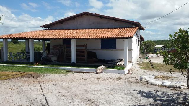 Granja na BR 101, 33 Hectares, 2 Rios, Casa Sede, 3 Baias, Poço, Pasto, Capim - Foto 8