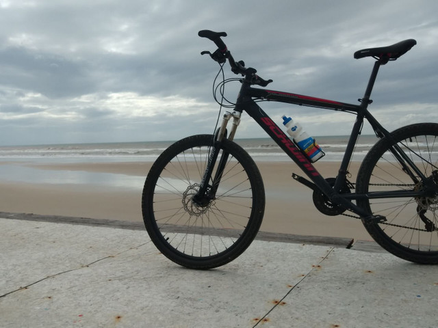 schwinn colorado