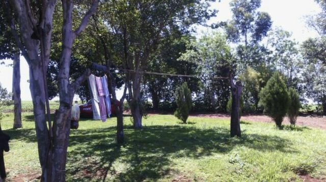 Sítio entre Cascavel e Sede Alvorada - Foto 4